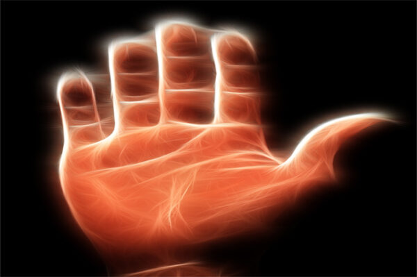 Professional Palmistry course