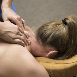 Massage Therapist Professional course