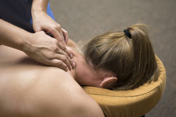 Massage Therapist Professional course