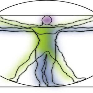 Kinesiology course