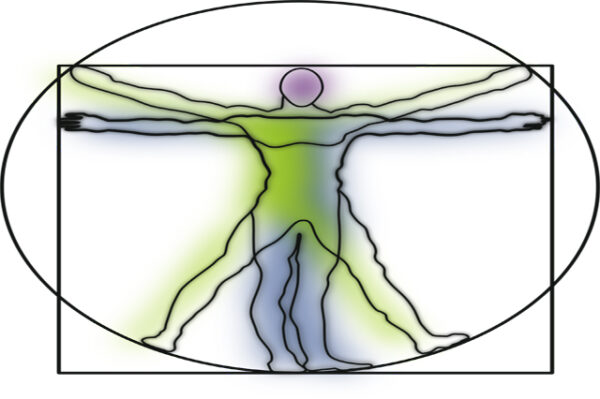 Kinesiology course