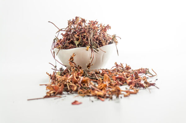 Ayurveda course