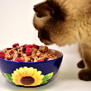 Pet Nutrition course