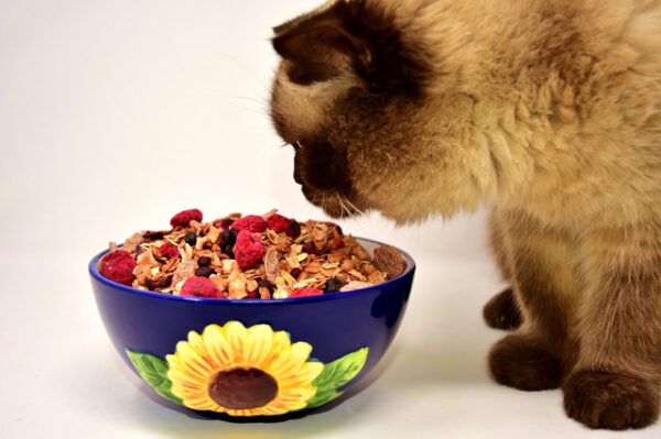 Pet Nutrition course