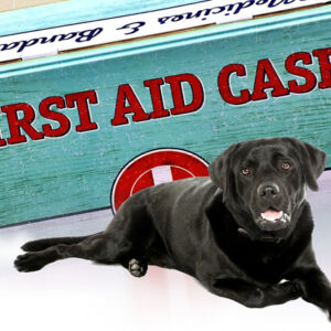 Pet First Aid course