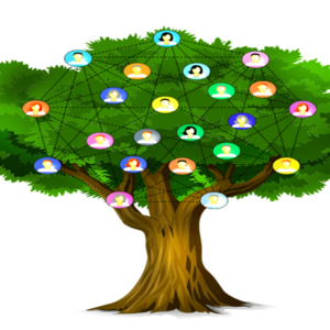 Genealogy course