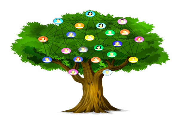Genealogy course
