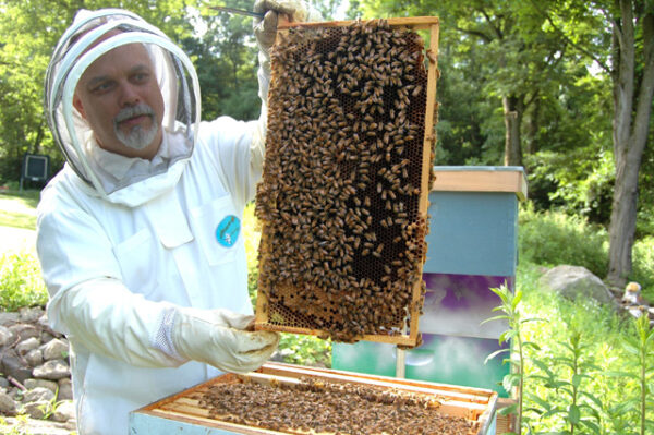 Beekeeping course