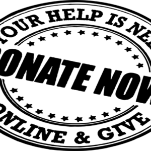 Fundraising course