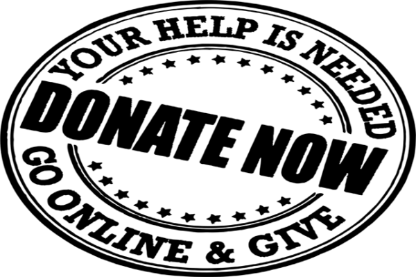 Fundraising course