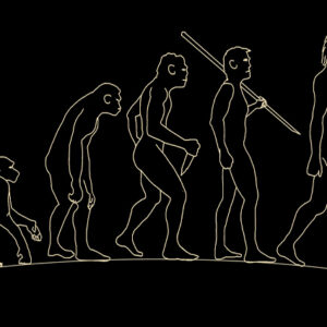 Anthropology course