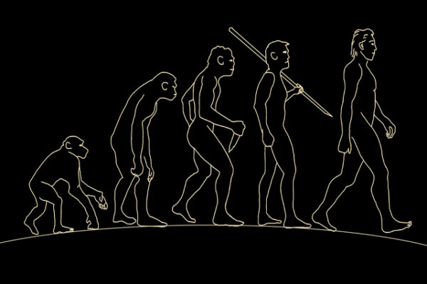 Anthropology course