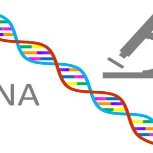 Genetics course