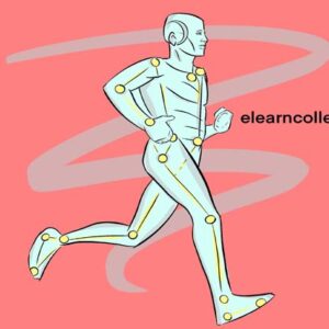 Biomechanics course