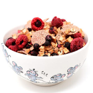 Macrobiotics course