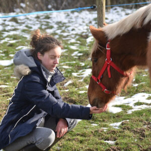 Equine Health And Nutrition course