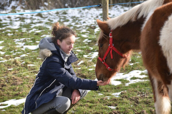 Equine Health And Nutrition course
