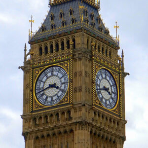 British Politics course