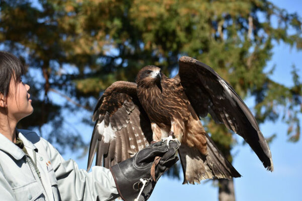 Zookeeping course
