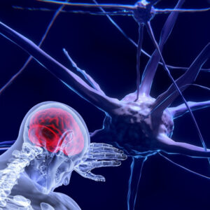 Behavioral Neuroscience course