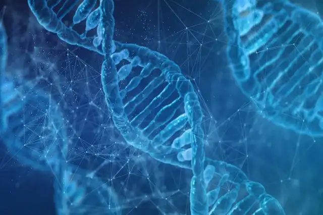 Epigenetics course