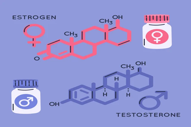Hormones And Health course