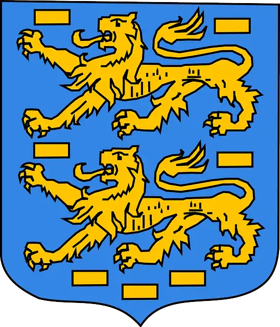 Coat of arms heraldry 