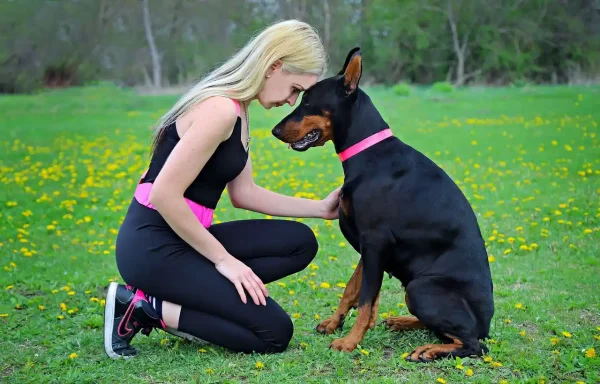 animal emotions