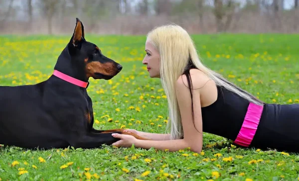 animal emotions