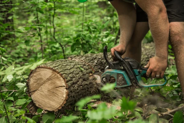 Tree Surgeon Diploma Course