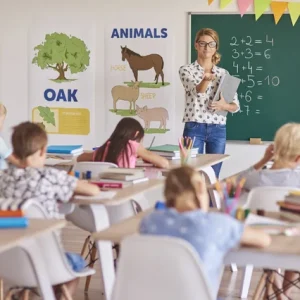 Positive Learning Environment course