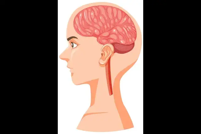 Phrenology course