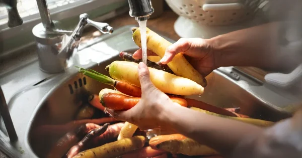 chef cleaning carrots turnips sink for food safety