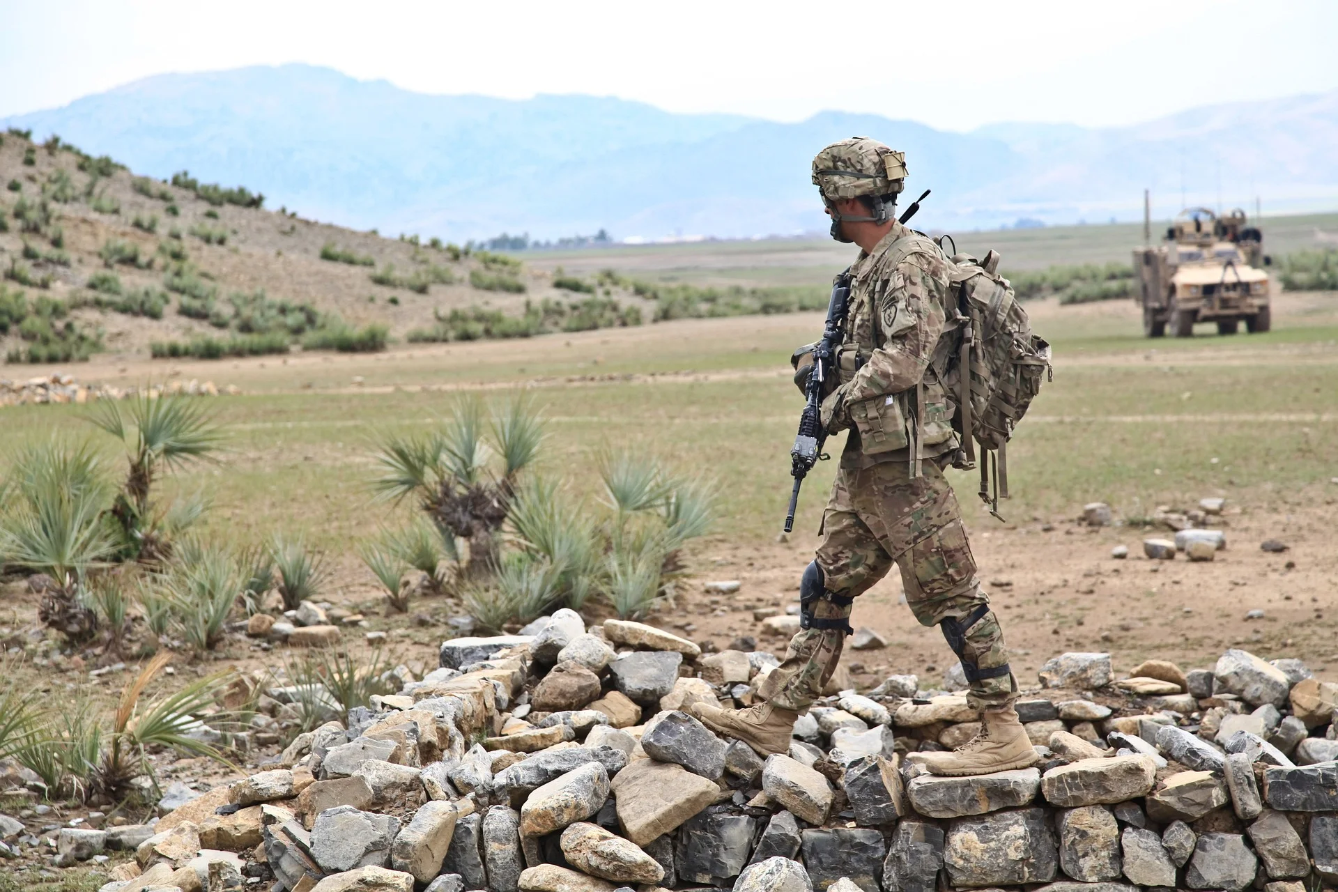 veterans' mental health 