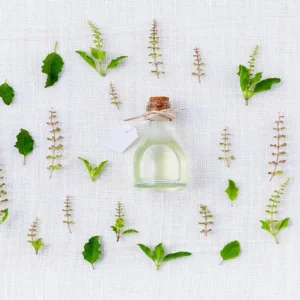 Medicinal Plants Chemistry course