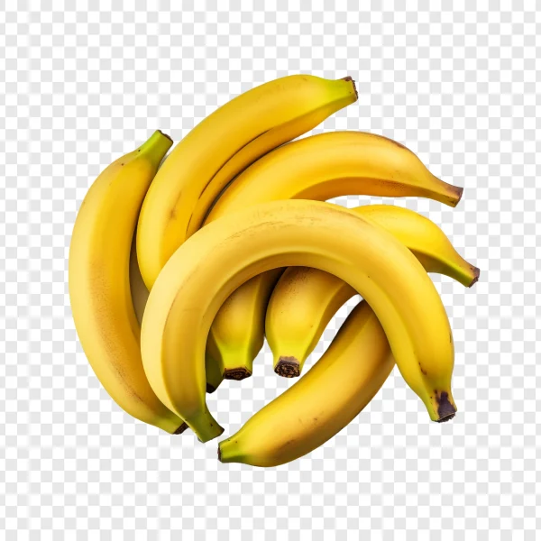 Banana Plant