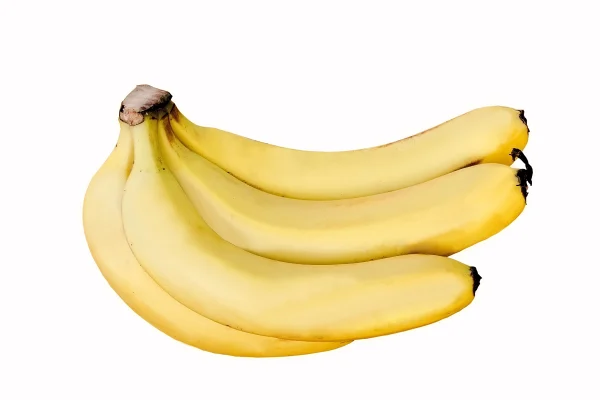 Banana Plant
