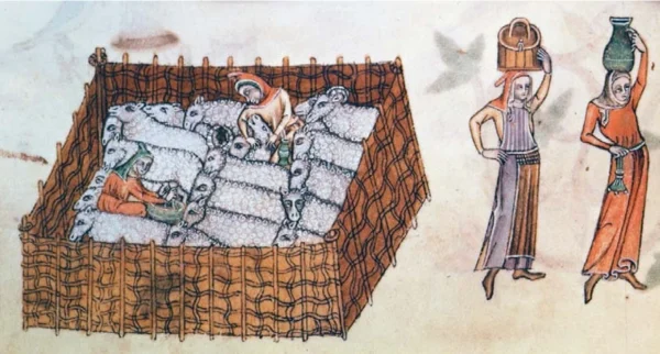 Medieval women