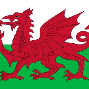 History Of Wales course
