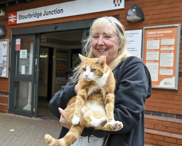 George the cat
