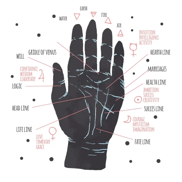 How to read palms 