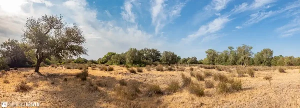 Doñana National Park