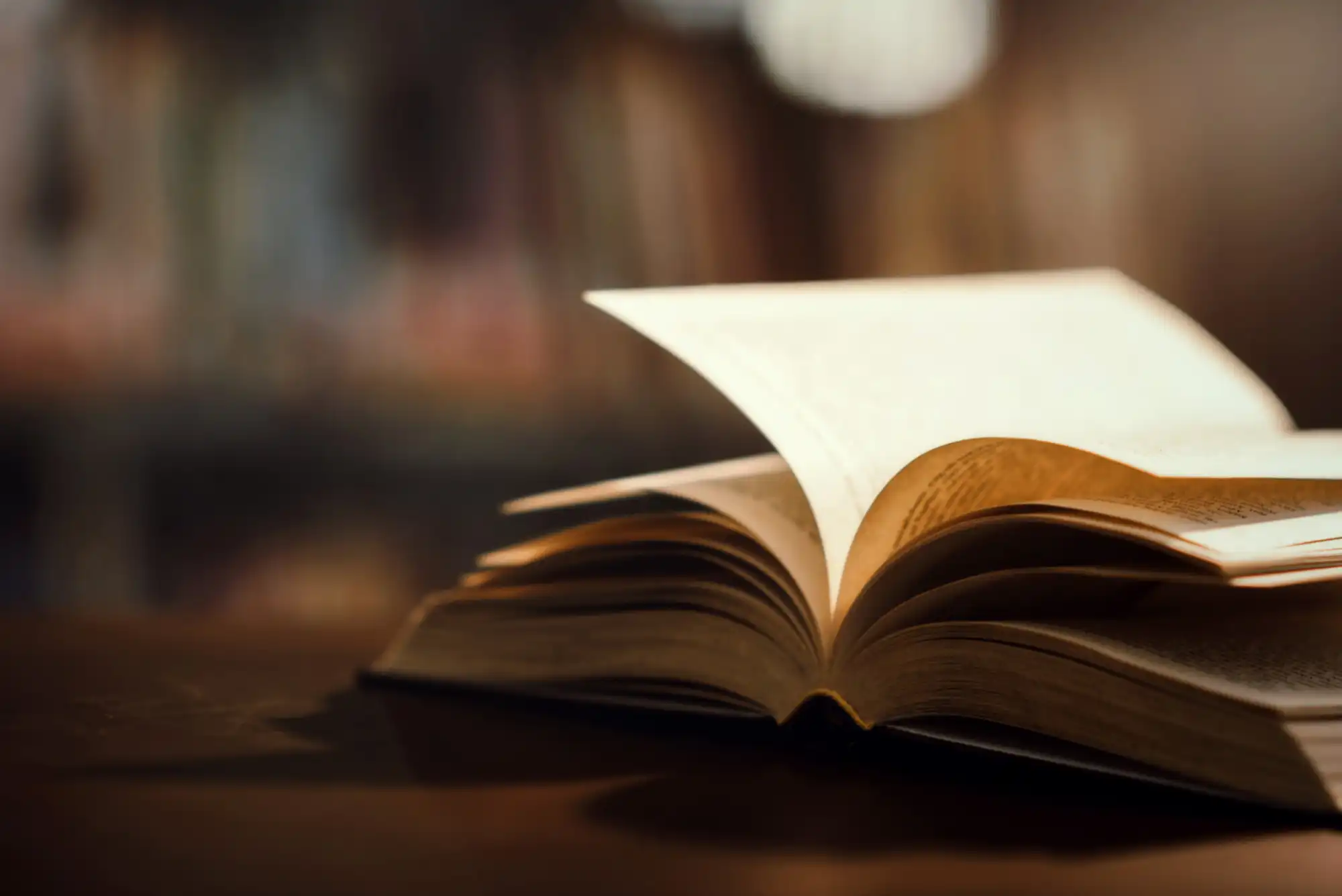Literary sentences 
