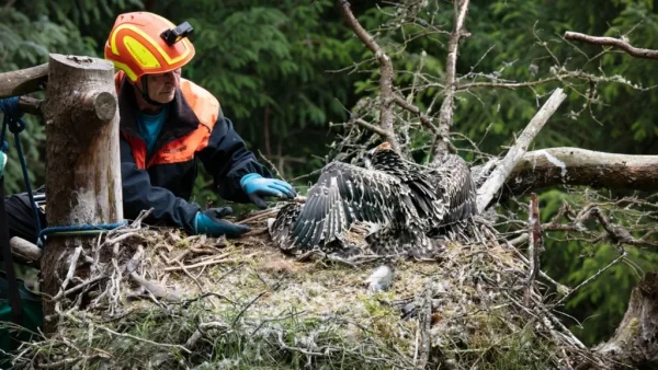 Woodland Trust Scotland