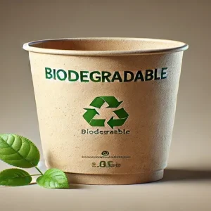 Biodegradable Polymers course