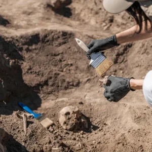 Bioarchaeology course