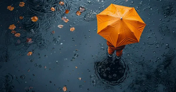 Rain