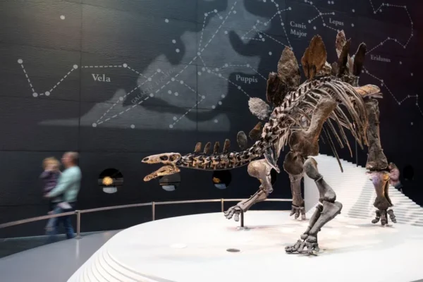Palaeontology