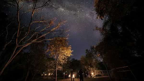 Stargazing