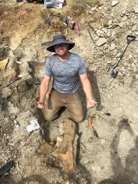 Palaeontology